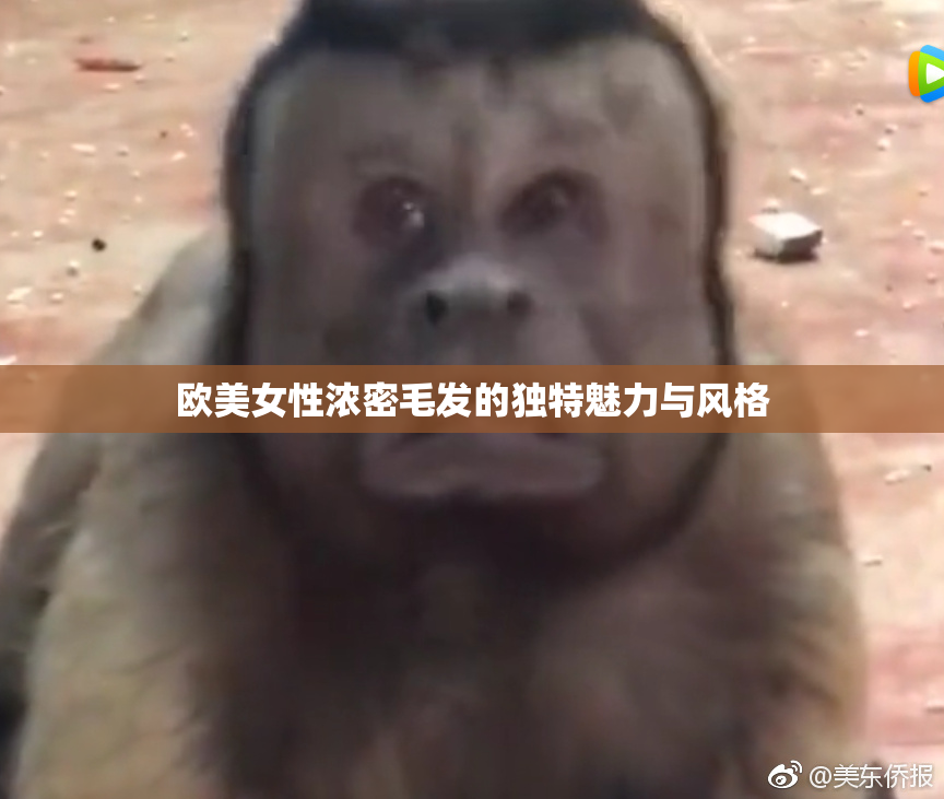 欧美女性浓密毛发的独特魅力与风格