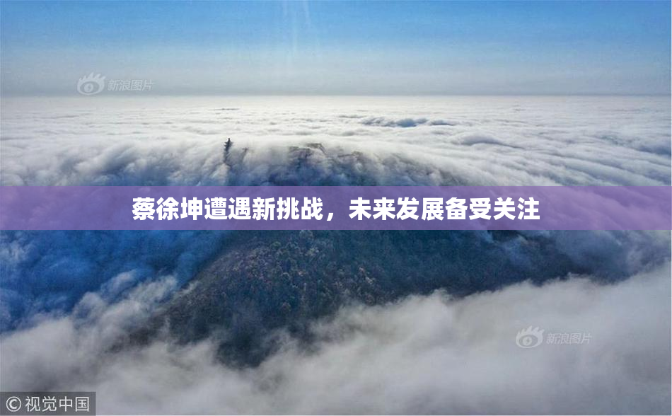 蔡徐坤遭遇新挑战，未来发展备受关注