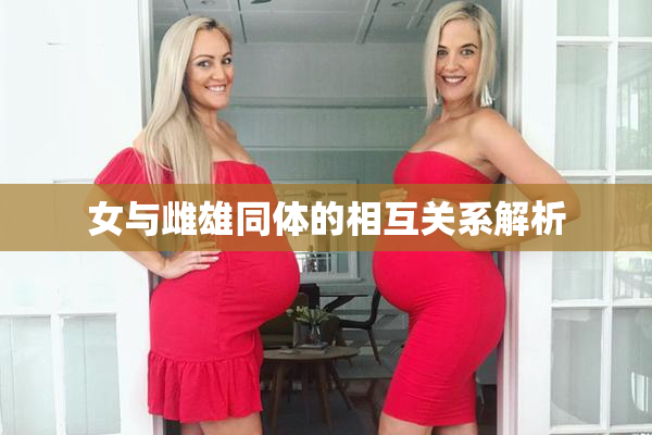 女与雌雄同体的相互关系解析