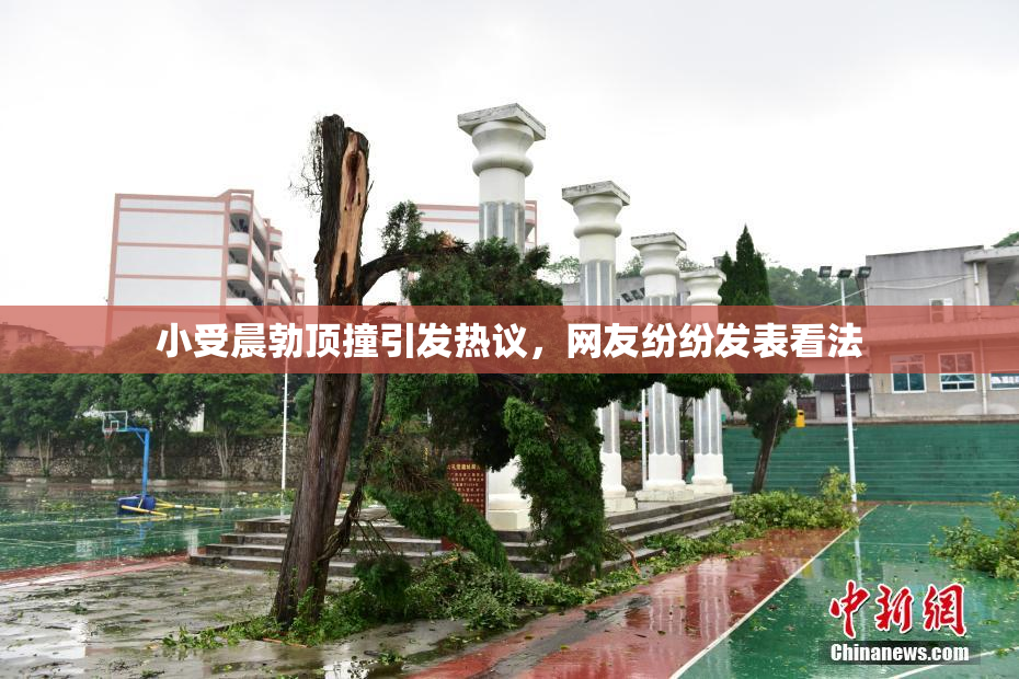 小受晨勃顶撞引发热议，网友纷纷发表看法