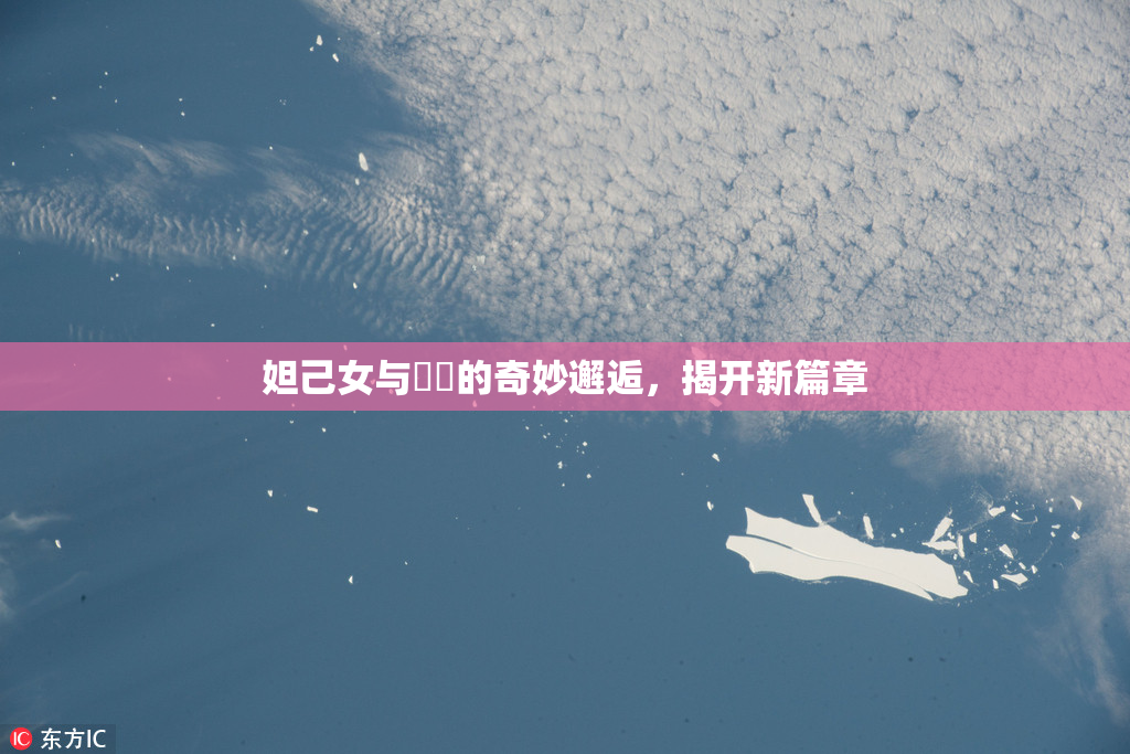 妲己女与❌‌的奇妙邂逅，揭开新篇章