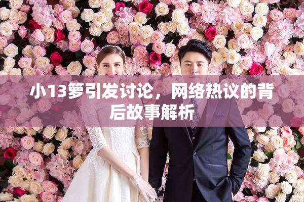 小13箩引发讨论，网络热议的背后故事解析