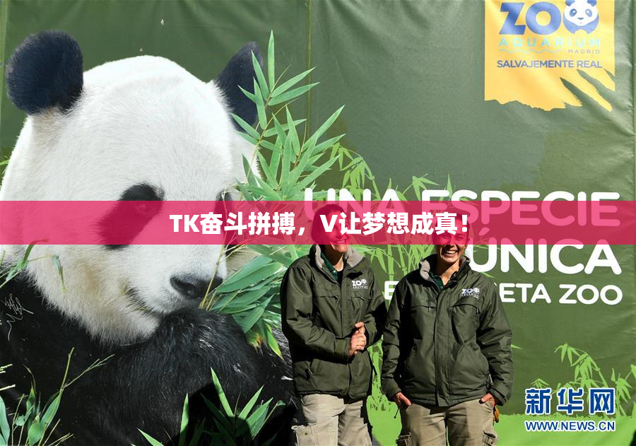 TK奋斗拼搏，V让梦想成真！