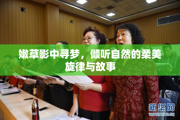 嫩草影中寻梦，倾听自然的柔美旋律与故事