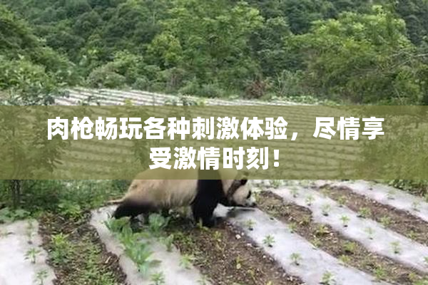 肉枪畅玩各种刺激体验，尽情享受激情时刻！