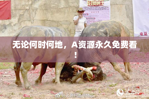 无论何时何地，A资源永久免费看！