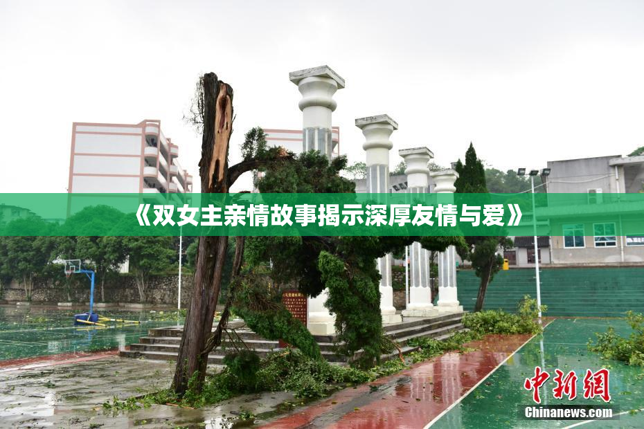 《双女主亲情故事揭示深厚友情与爱》