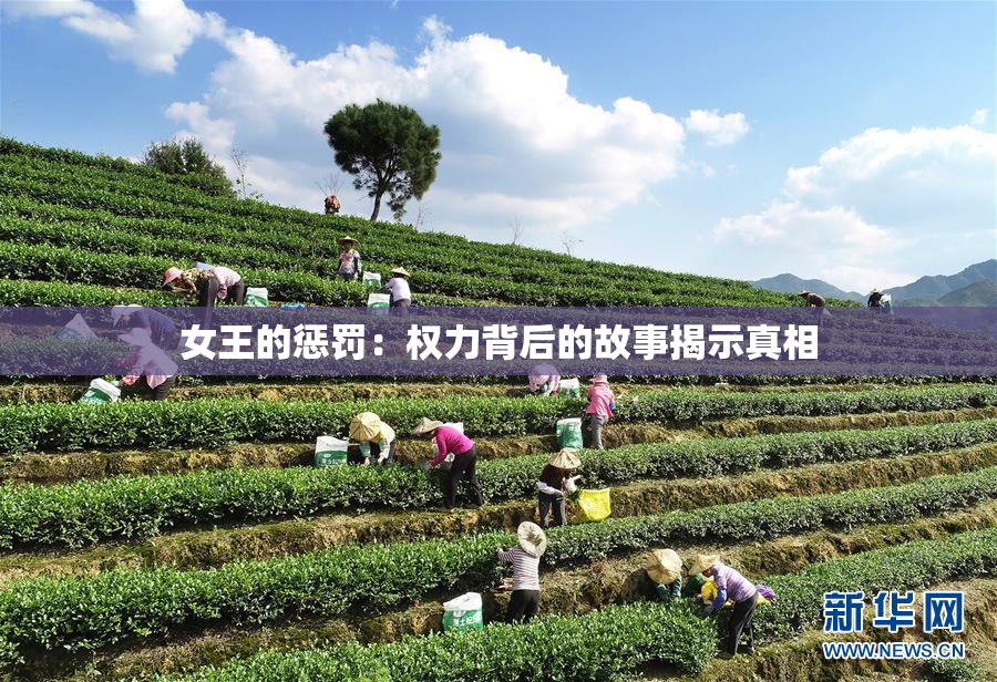 女王的惩罚：权力背后的故事揭示真相