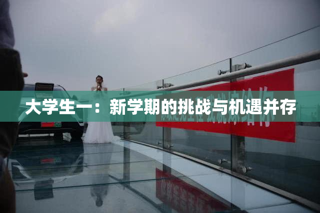 大学生一：新学期的挑战与机遇并存