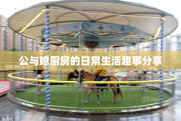公与媳厨房的日常生活趣事分享
