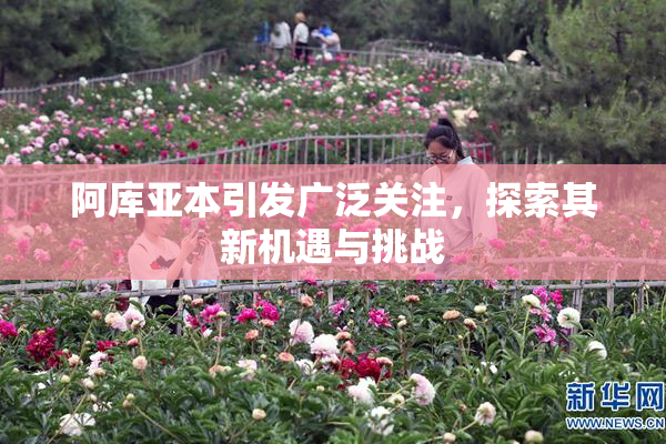 阿库亚本引发广泛关注，探索其新机遇与挑战