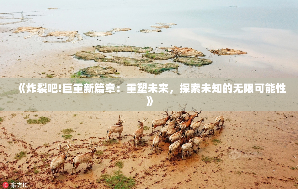 《炸裂吧!巨重新篇章：重塑未来，探索未知的无限可能性》