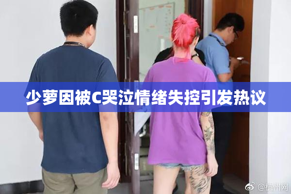 少萝因被C哭泣情绪失控引发热议