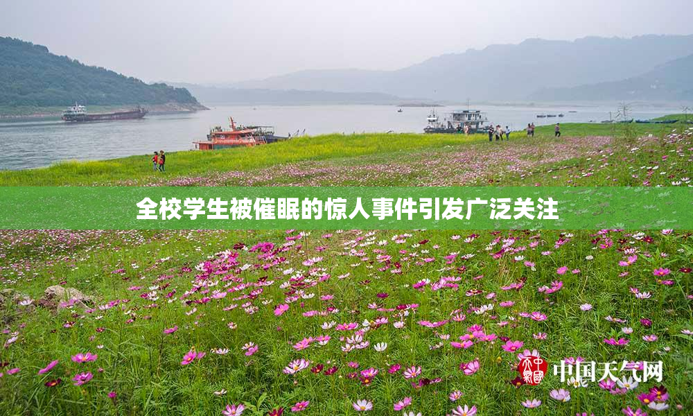 全校学生被催眠的惊人事件引发广泛关注