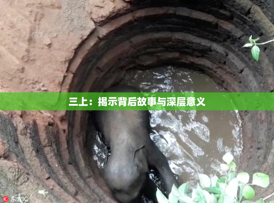 三上：揭示背后故事与深层意义