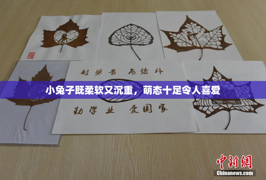小兔子既柔软又沉重，萌态十足令人喜爱