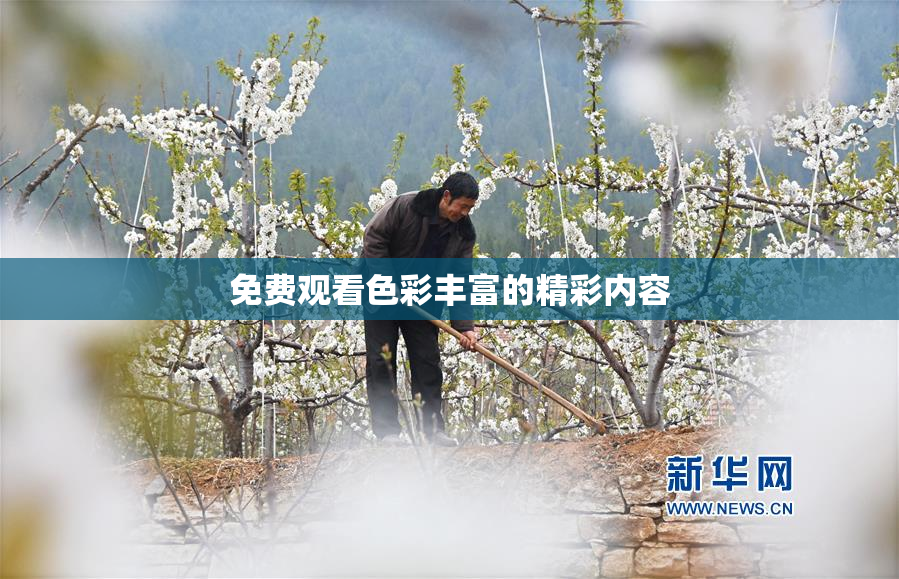 免费观看色彩丰富的精彩内容