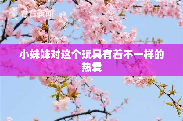 小妹妹对这个玩具有着不一样的热爱