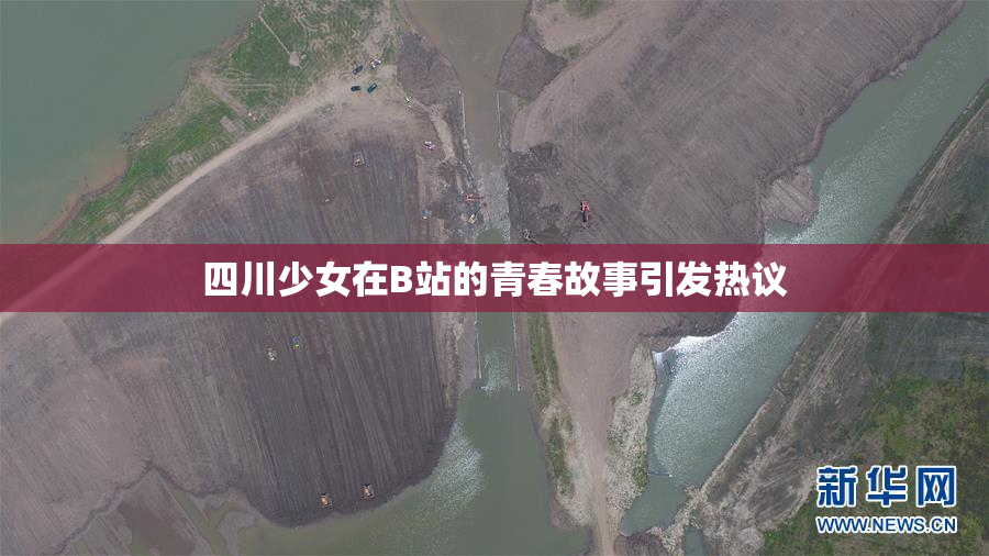 四川少女在B站的青春故事引发热议