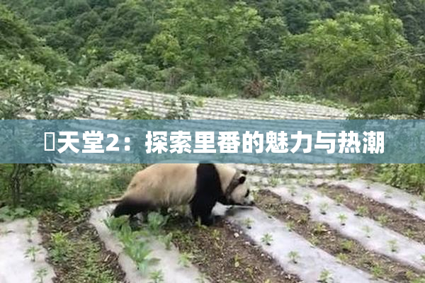 妺天堂2：探索里番的魅力与热潮