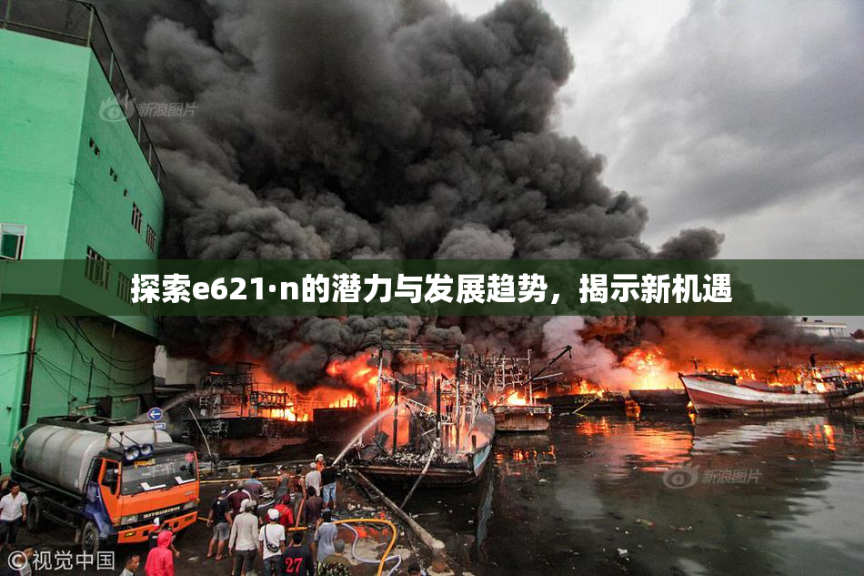 探索e621·n的潜力与发展趋势，揭示新机遇