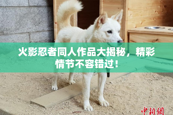 火影忍者同人作品大揭秘，精彩情节不容错过！