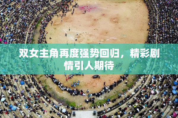 双女主角再度强势回归，精彩剧情引人期待