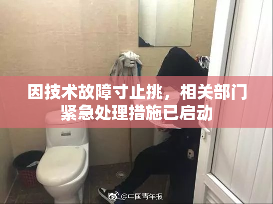 因技术故障寸止挑，相关部门紧急处理措施已启动
