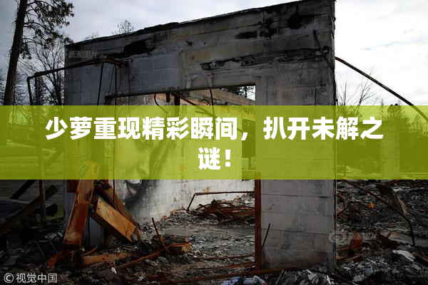 少萝重现精彩瞬间，扒开未解之谜！