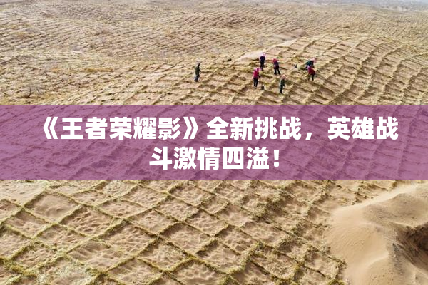 《王者荣耀影》全新挑战，英雄战斗激情四溢！