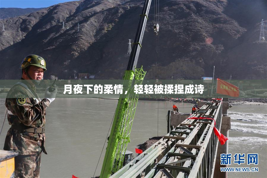 月夜下的柔情，轻轻被揉捏成诗