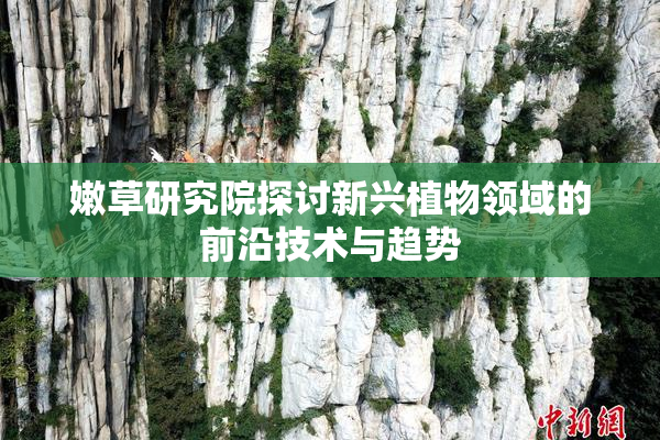 嫩草研究院探讨新兴植物领域的前沿技术与趋势