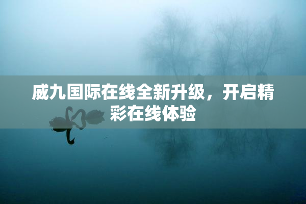 威九国际在线全新升级，开启精彩在线体验