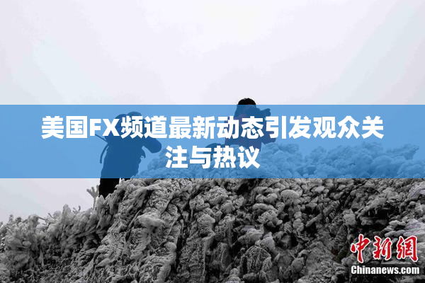 美国FX频道最新动态引发观众关注与热议