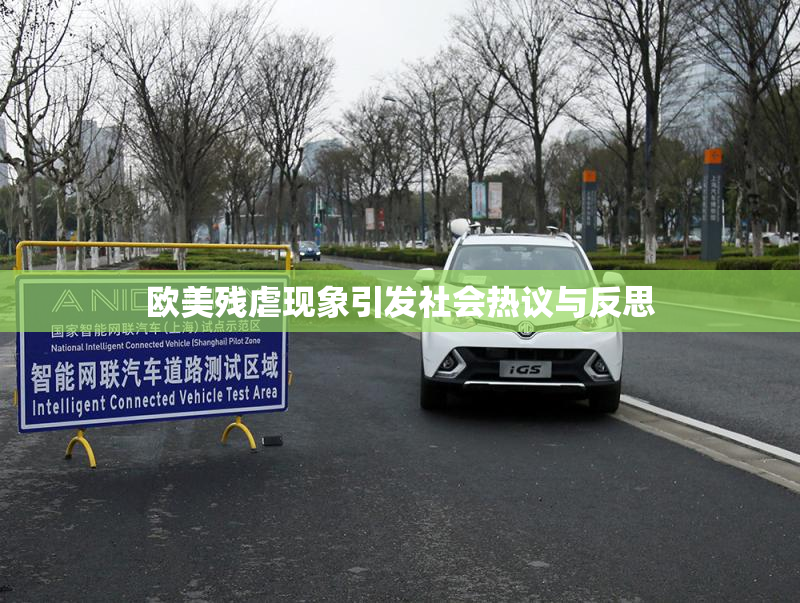 欧美残虐现象引发社会热议与反思