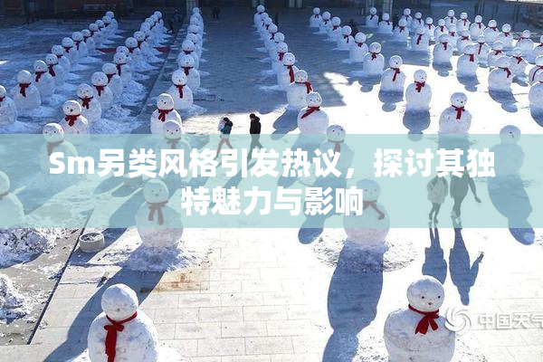 Sm另类风格引发热议，探讨其独特魅力与影响