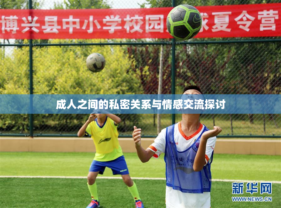 成人之间的私密关系与情感交流探讨