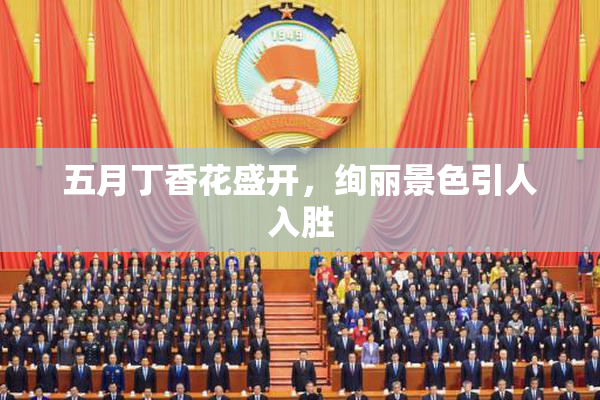 五月丁香花盛开，绚丽景色引人入胜