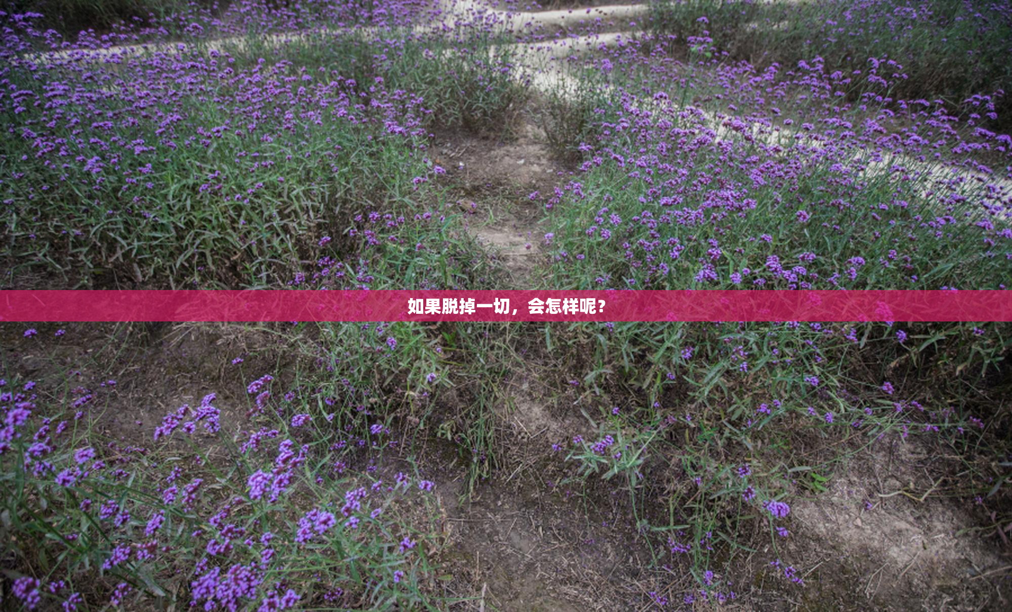 如果脱掉一切，会怎样呢？