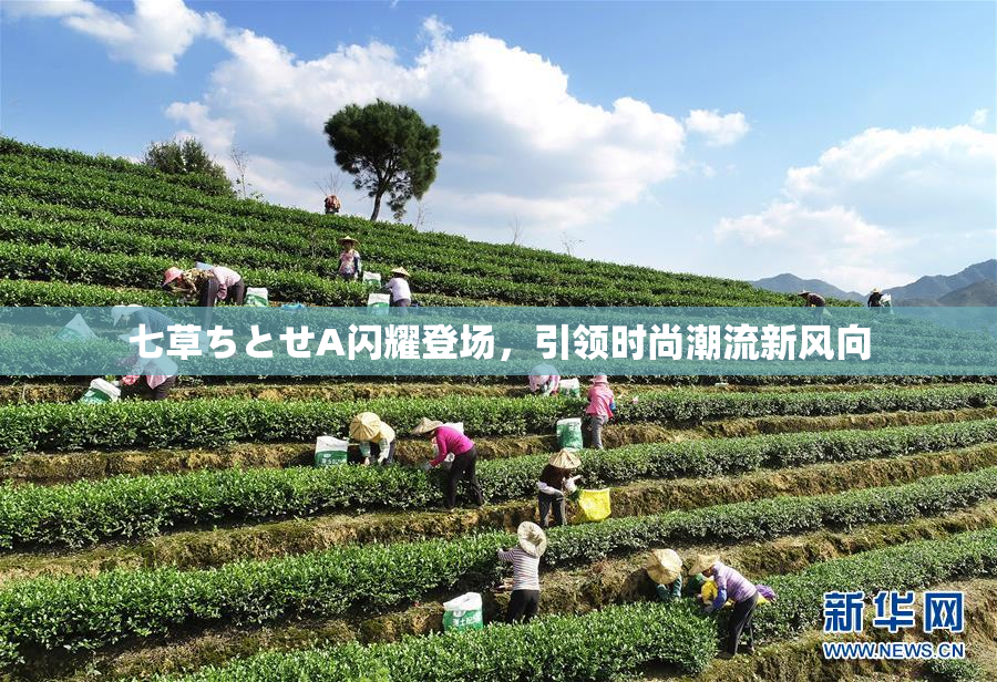 七草ちとせA闪耀登场，引领时尚潮流新风向