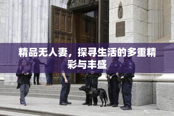 精品无人妻，探寻生活的多重精彩与丰盛