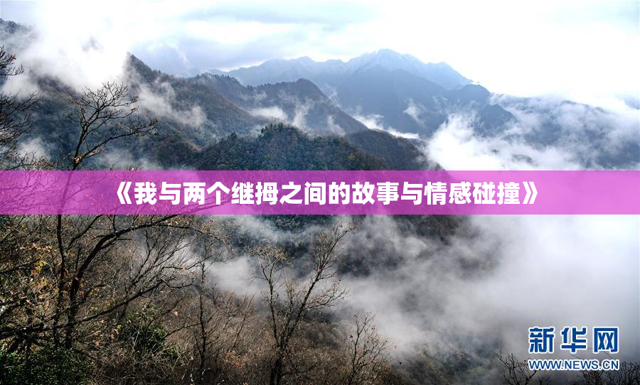 《我与两个继拇之间的故事与情感碰撞》