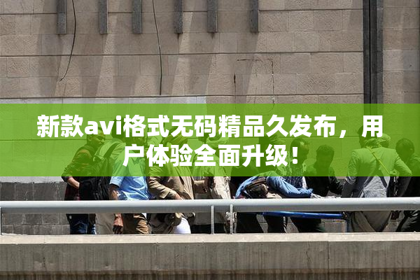 新款avi格式无码精品久发布，用户体验全面升级！