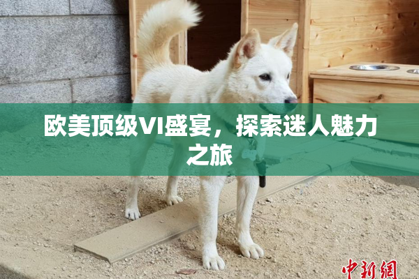 欧美顶级VI盛宴，探索迷人魅力之旅