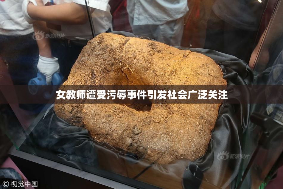 女教师遭受污辱事件引发社会广泛关注