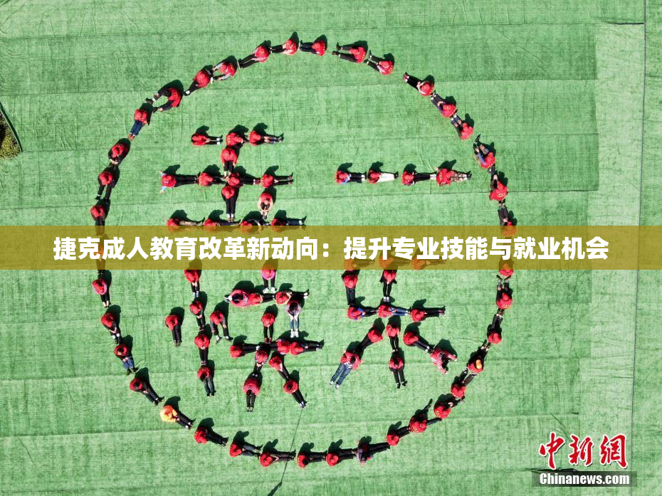 捷克成人教育改革新动向：提升专业技能与就业机会