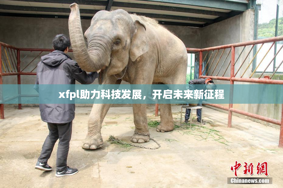 xfpl助力科技发展，开启未来新征程