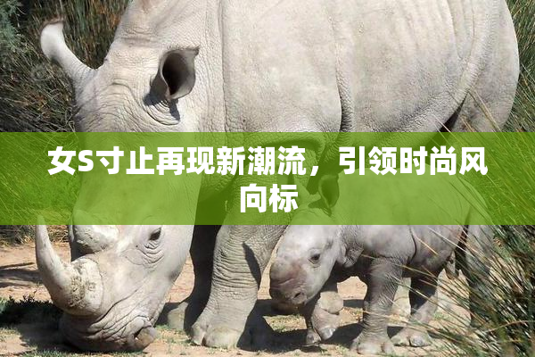 女S寸止再现新潮流，引领时尚风向标
