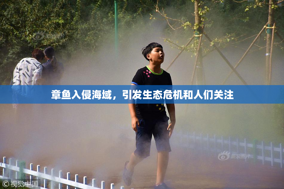 章鱼入侵海域，引发生态危机和人们关注