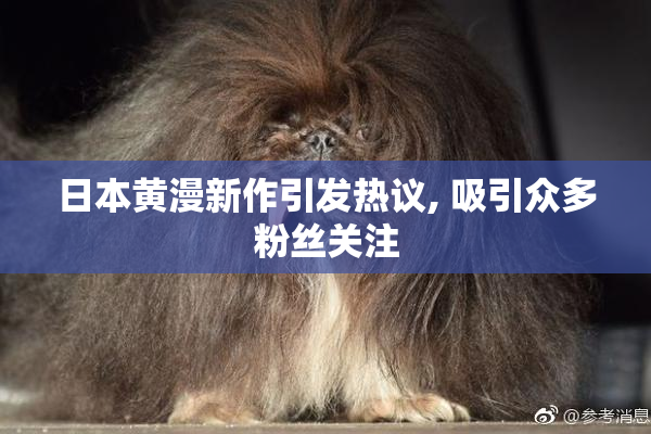 日本黄漫新作引发热议, 吸引众多粉丝关注